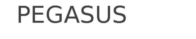 PEGASUS