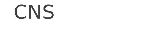 CNS