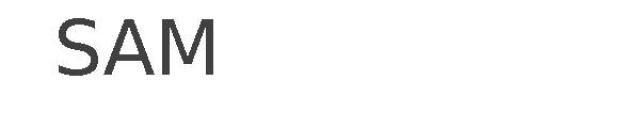 SAM