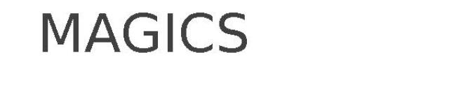 MAGICS