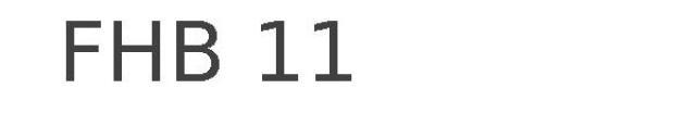 FHB 11