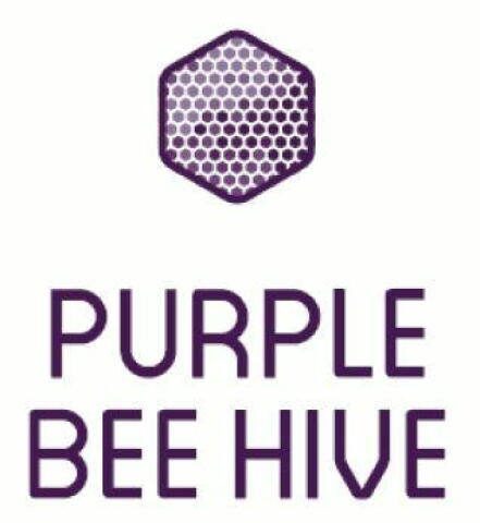 purple bee hive
