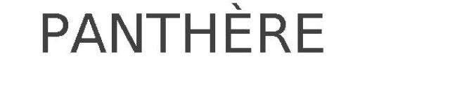 PANTHÈRE