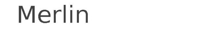 Merlin