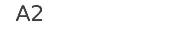 A2