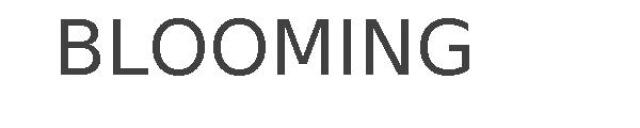 BLOOMING