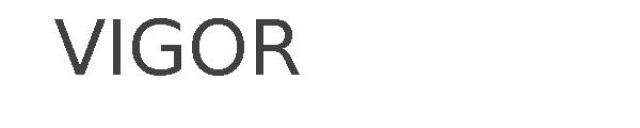 VIGOR 