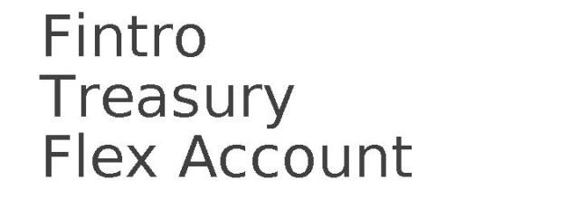 Fintro Treasury Flex Account