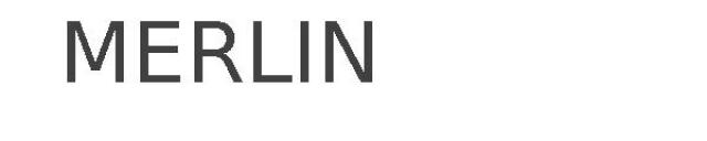 MERLIN
