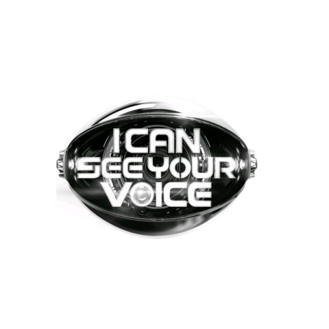 i can see your voice