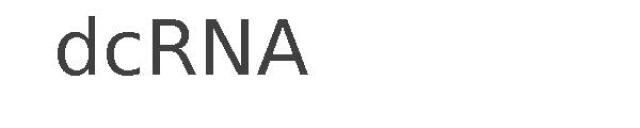 dcRNA