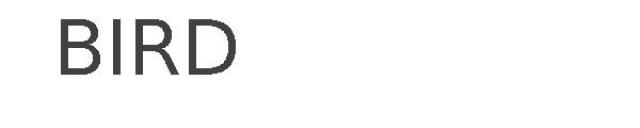 BIRD