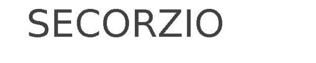 SECORZIO