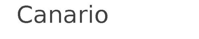 Canario