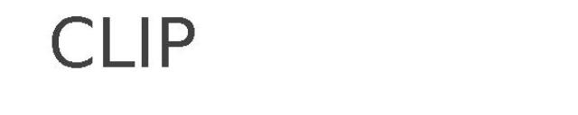 CLIP