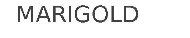 MARIGOLD