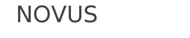NOVUS
