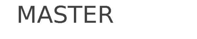 MASTER
