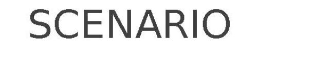 SCENARIO