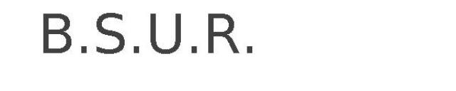 B.S.U.R.