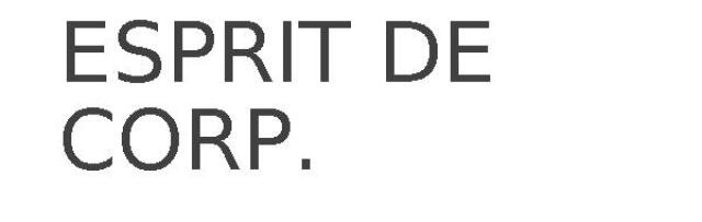 ESPRIT DE CORP.