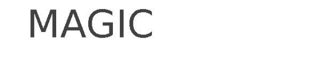 MAGIC