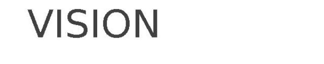 VISION