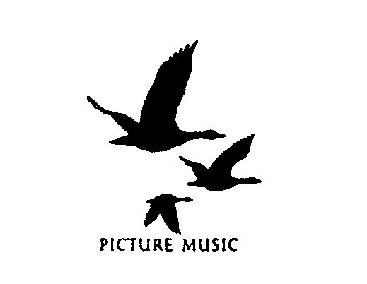 PICTURE MUSIC ((Vögel))