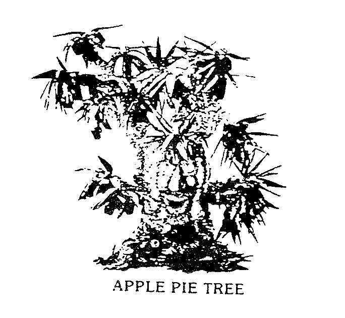 APPLE PIE TREE
