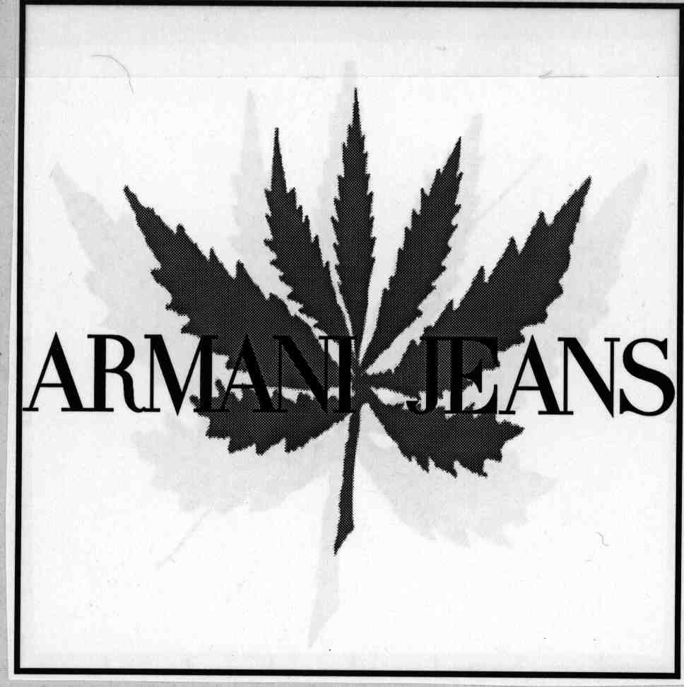 ARMANI JEANS