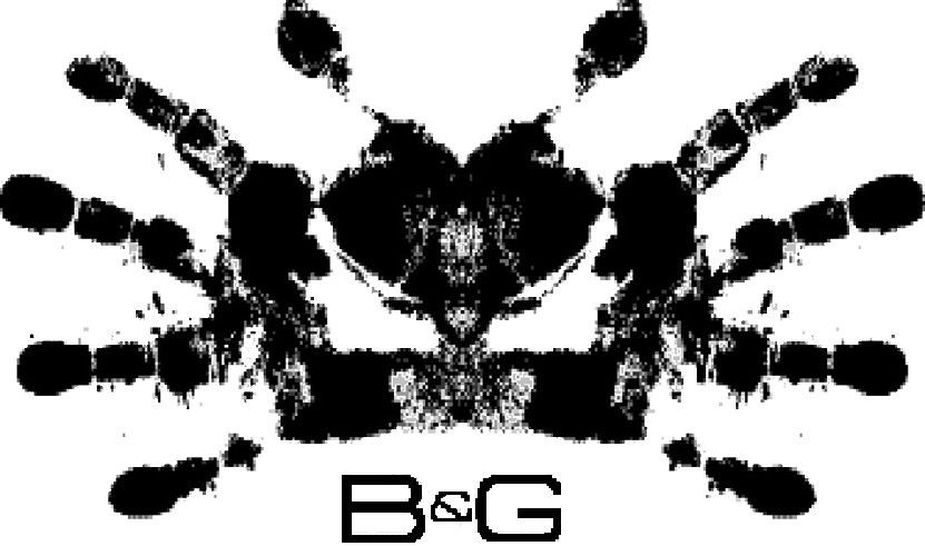 B&G