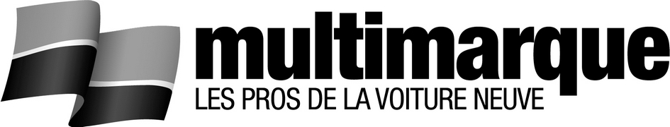 multimarque LES PROS DE LA VOITURE NEUVE