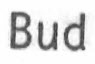 Bud