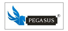 PEGASUS