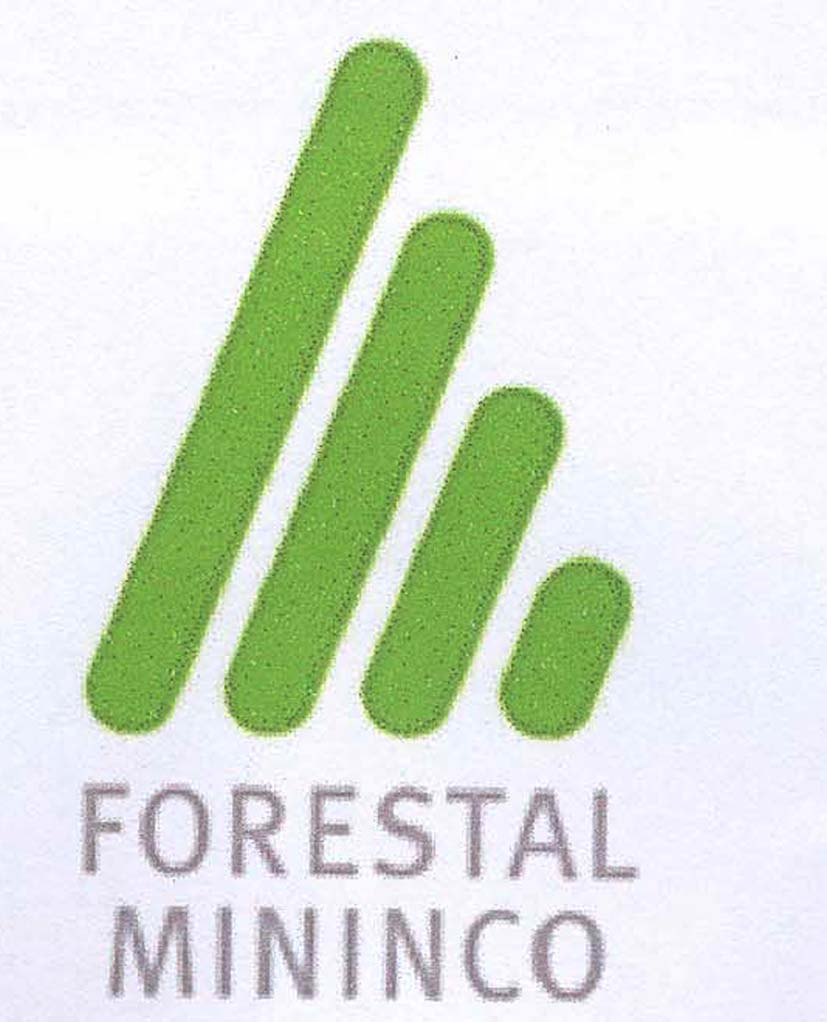 FORESTAL MININCO