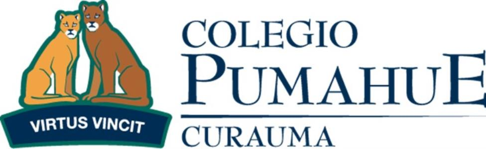 COLEGIO PUMAHUE CURAUMA VIRTUS VINCIT