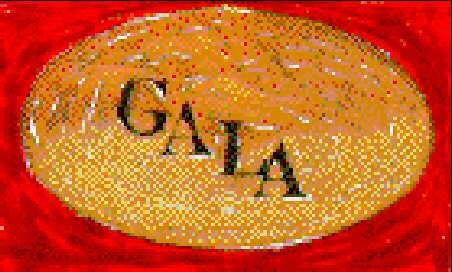 GALA