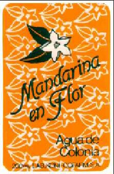 MANDARINA EN FLOR