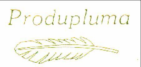 PRODUPLUMA