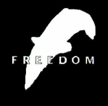 FREEDOM