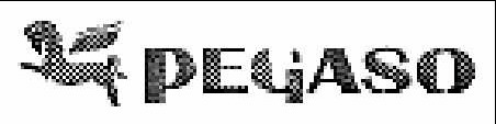 PEGASO