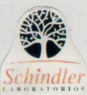 SCHINDLER