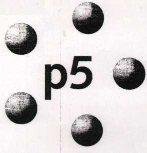 P 5
