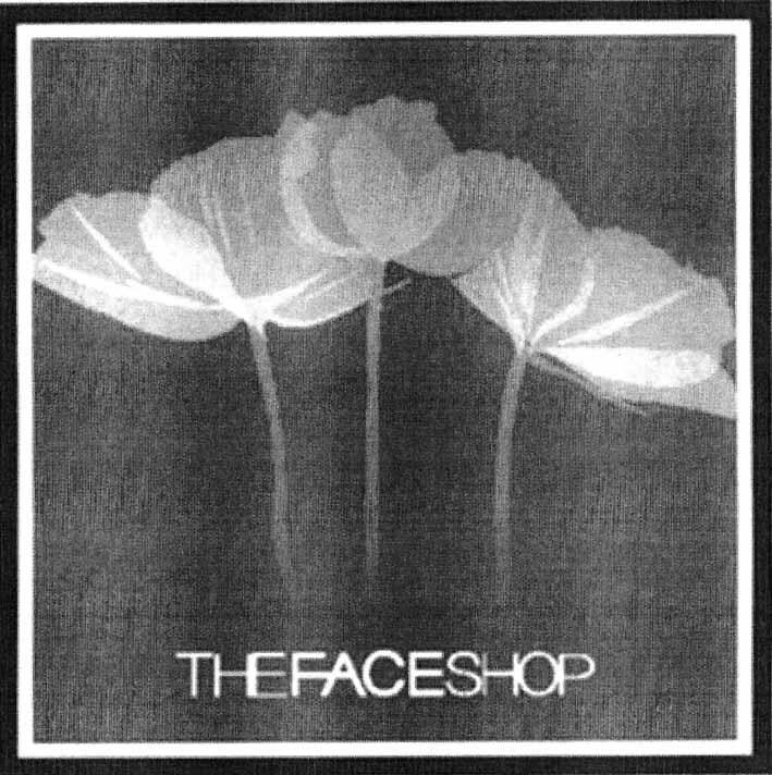 THEFACESHOP