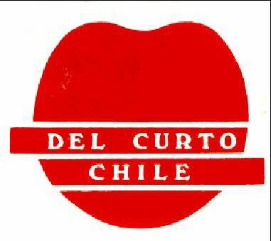 DEL CURTO CHILE