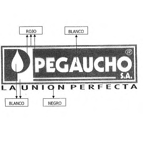 PEGAUCHO
