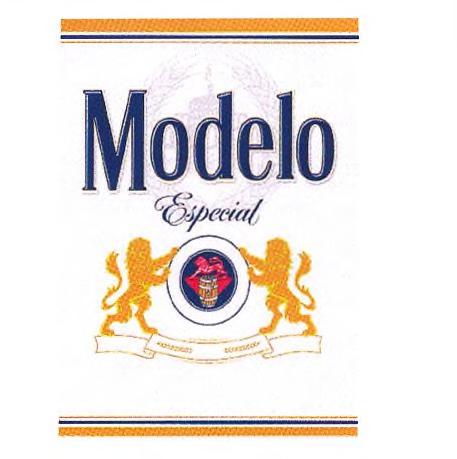 MODELO ESPECIAL