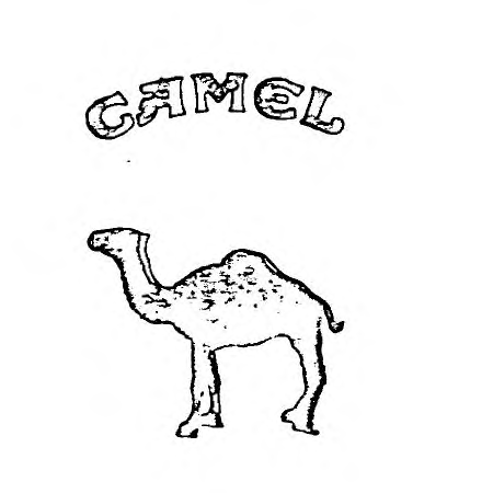 CAMEL