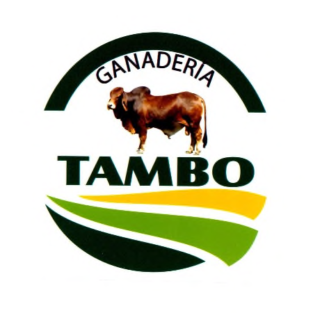 TAMBO