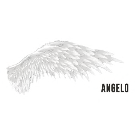 ANGELO